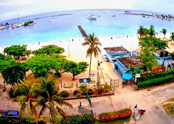 Beach-side At Turtle Towers *